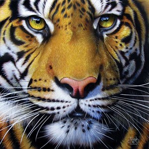 SunsOut (58628) - JQ Licensing: "Golden Tiger Face" - 1000 brikker puslespil
