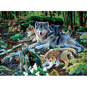 SunsOut (60506) - Jan Martin McGuire: "Forest Wolf Family" - 500 brikker puslespil