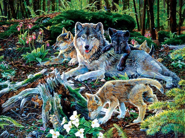 SunsOut (60506) - Jan Martin McGuire: "Forest Wolf Family" - 500 brikker puslespil