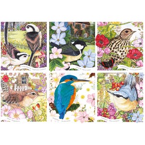 Otter House Puzzle (75079) - "RSPB, Garden Birds" - 1000 brikker puslespil