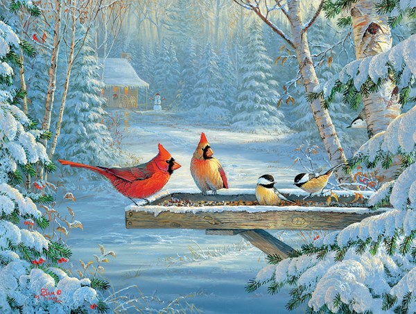 SunsOut (29023) - "Forest Treats" - 500 brikker puslespil