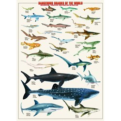 Eurographics (6000-0264) - "Dangerous Sharks of the World" - 1000 brikker puslespil
