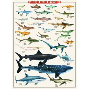 Eurographics (6000-0264) - "Dangerous Sharks of the World" - 1000 brikker puslespil
