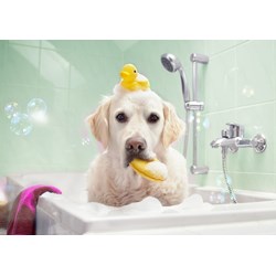 Bluebird Puzzle (70367) - "Bath Time" - 100 brikker puslespil