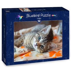 Bluebird Puzzle (70368) - "Kitten" - 260 brikker puslespil