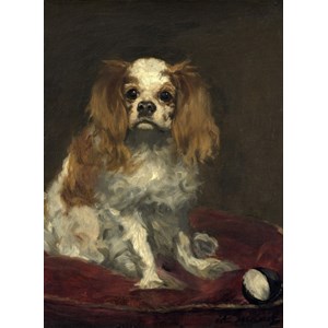Grafika (01708) - Edouard Manet: "A King Charles Spaniel, 1866" - 300 brikker puslespil