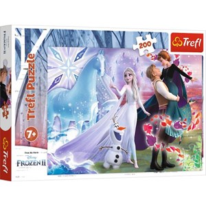 Trefl (13265) - "Frozen II" - 200 brikker puslespil