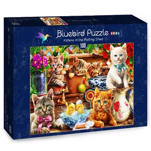 Bluebird Puzzle (70400) - Adrian Chesterman: "Kittens in the Potting Shed" - 100 brikker puslespil