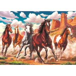 Art Puzzle (4224) - "Running Wild in the Valley" - 1000 brikker puslespil