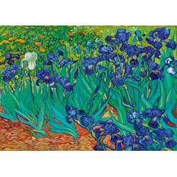 Bluebird Puzzle (60006) - Vincent van Gogh: "Irises, 1889" - 1000 brikker puslespil