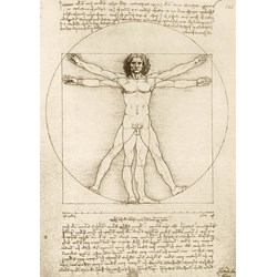 Bluebird Puzzle (60009) - Leonardo Da Vinci: "The Vitruvian Man, 1490" - 1000 brikker puslespil