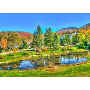 Bluebird Puzzle (70023) - "Stowe, Vermont, USA" - 1000 brikker puslespil