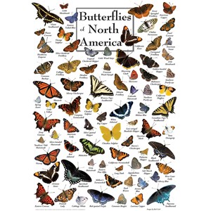 MasterPieces (71971) - "Butterflies of North America" - 1000 brikker puslespil