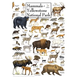 MasterPieces (71974) - "Mammals of Yellowstone National Park" - 1000 brikker puslespil