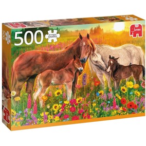 Jumbo (18851) - "Horses in the Meadow" - 500 brikker puslespil