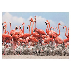 Dino (50250) - "Flamingoes" - 500 brikker puslespil