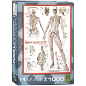 Eurographics (6000-2014) - "The Skeletal System" - 1000 brikker puslespil