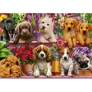 Schmidt Spiele (58973) - "Dogs on a Shelf" - 500 brikker puslespil