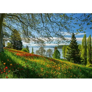 Schmidt Spiele (58967) - "Tulips Field, Mainau Island" - 1000 brikker puslespil