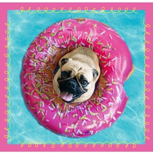 Trefl (34845) - "Dogs" - 20 36 50 brikker puslespil