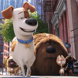 Ravensburger (09413) - "Secret Life of Pets" - 49 brikker puslespil