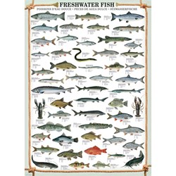 Eurographics (6000-0312) - "Freshwater Fish" - 1000 brikker puslespil