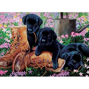 Cobble Hill (58851) - "Black Lab Puppies" - 35 brikker puslespil