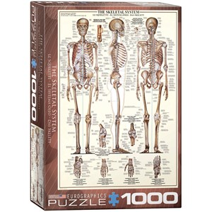 Eurographics (6000-3970) - "The Skeletal System" - 1000 brikker puslespil