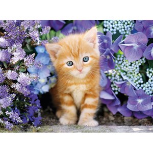 Clementoni (30415) - "Ginger Cat in Flowers" - 500 brikker puslespil