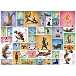 Eurographics (6000-0953) - "Yoga Katte" - 1000 brikker puslespil