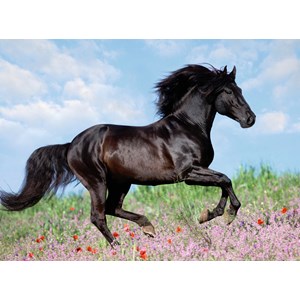 Ravensburger (12803) - "Beautiful Horse" - 200 brikker puslespil
