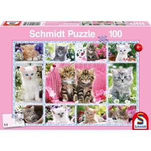 Schmidt Spiele (56135) - "Kittens" - 100 brikker puslespil
