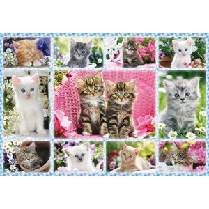 Schmidt Spiele (56135) - "Kittens" - 100 brikker puslespil