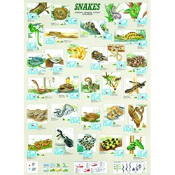 Eurographics (6000-2610) - "Snakes" - 1000 brikker puslespil