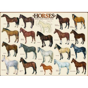 Eurographics (6000-0078) - "Horses" - 1000 brikker puslespil