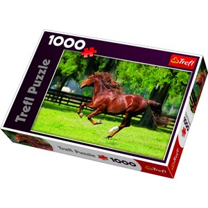 Trefl (10201) - "In The Gallop" - 1000 brikker puslespil