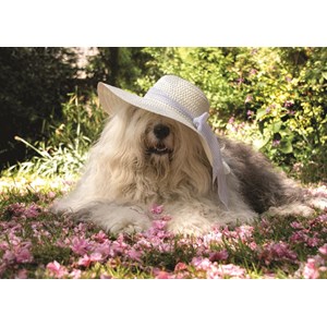 Jumbo (18530) - "Sophie på et leje af blomster" - 500 brikker puslespil