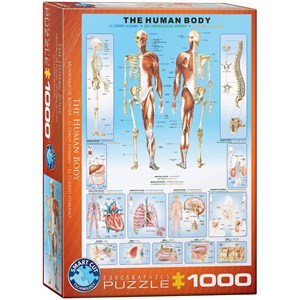 Eurographics (6000-1000) - "The Human Body" - 1000 brikker puslespil