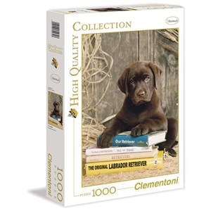Clementoni (39230) - "Laying on the Books" - 1000 brikker puslespil