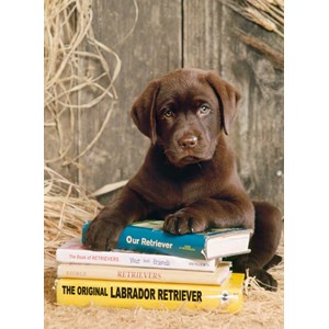 Clementoni (39230) - "Laying on the Books" - 1000 brikker puslespil