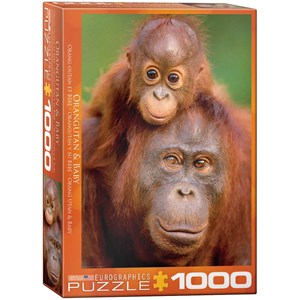 Eurographics (6000-0638) - "Orangutan & Baby" - 1000 brikker puslespil