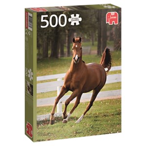 Jumbo (18538) - "Playful Foal" - 500 brikker puslespil