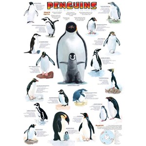 Eurographics (6100-0044) - "Penguins" - 100 brikker puslespil