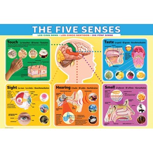 Eurographics (6200-0305) - "The Five Senses" - 200 brikker puslespil