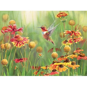 Cobble Hill (52078) - "Rufous Hummingbird" - 500 brikker puslespil