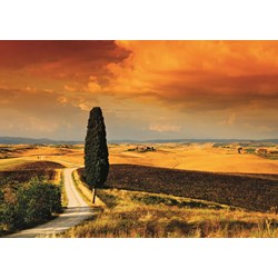 Jumbo (18362) - "Tuscan Sunset" - 1000 brikker puslespil