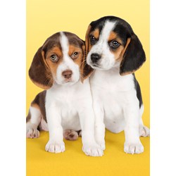 Clementoni (30356) - "Nice Beagles" - 500 brikker puslespil