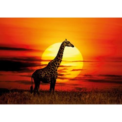Heye (29688) - "Sunny Giraffe" - 1000 brikker puslespil