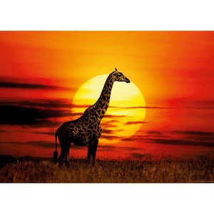 Heye (29688) - "Sunny Giraffe" - 1000 brikker puslespil