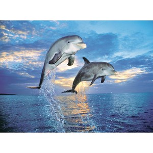 Clementoni (30139) - "Dolphin" - 500 brikker puslespil